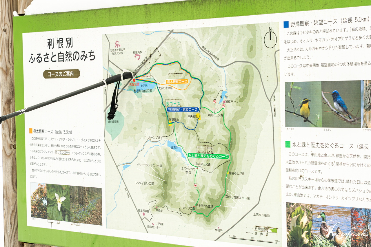 岩見沢市のスキーハイキング専門店『well-tuned』presents... 